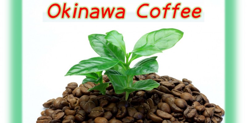 沖縄産コーヒー