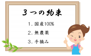 ３つの約束　国産100％コーヒー　無農薬コーヒー　手摘みコーヒー