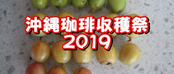 沖縄珈琲収穫祭