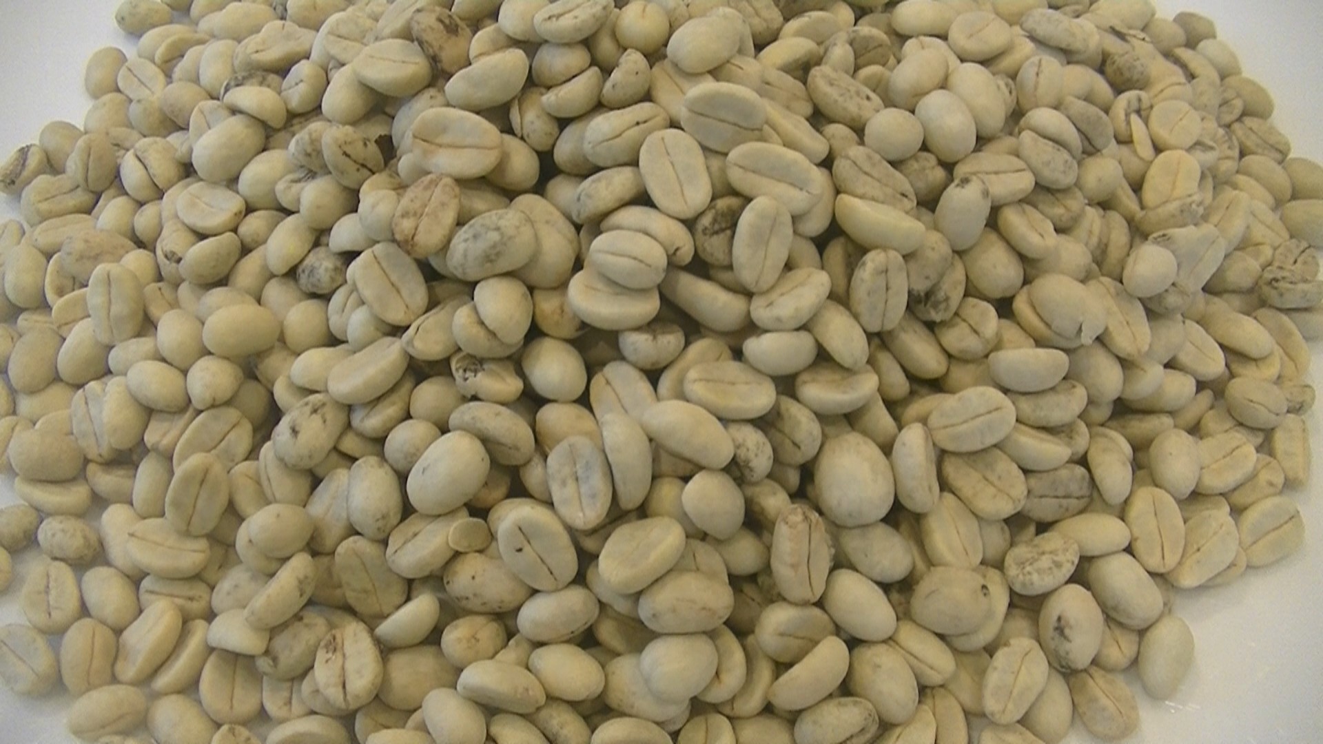 パーチメントコーヒー豆