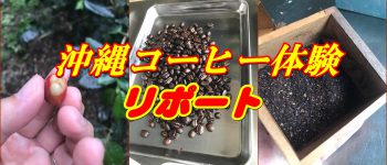 沖縄コーヒー体験リポート