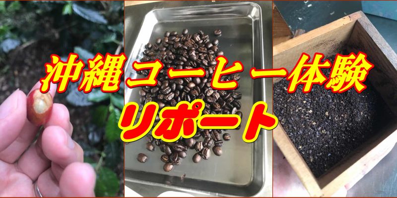 沖縄コーヒー体験リポート