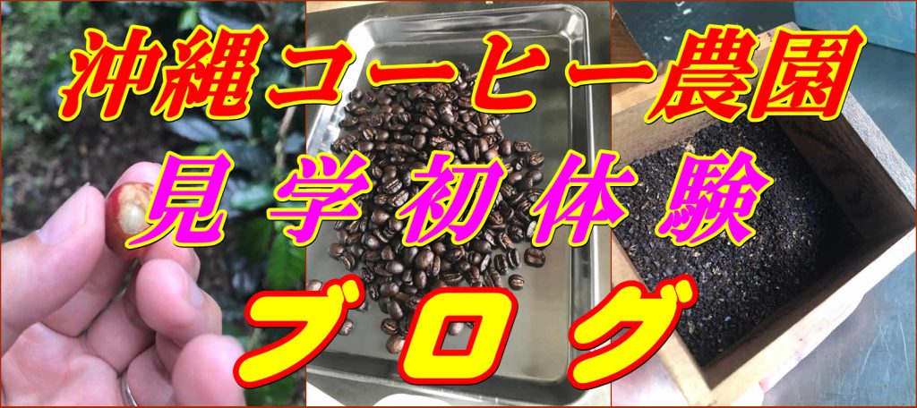 沖縄コーヒー体験ブログ