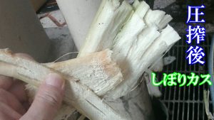 さとうきび搾りかす
