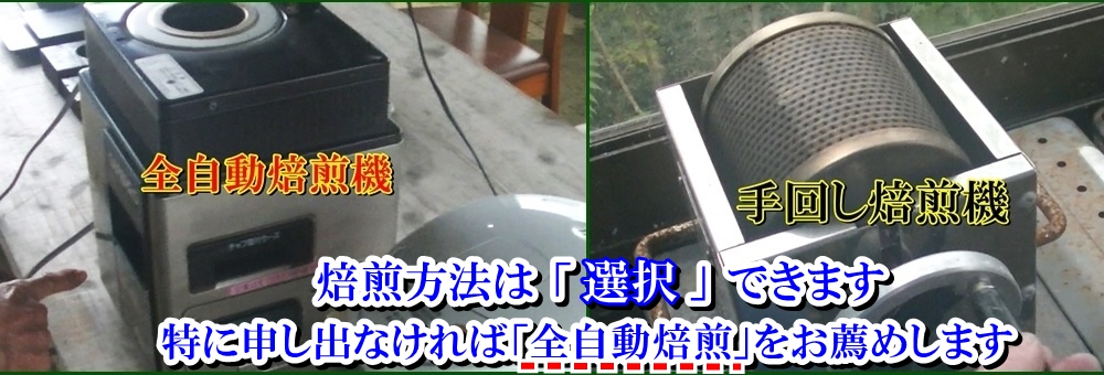 沖縄コーヒー体験