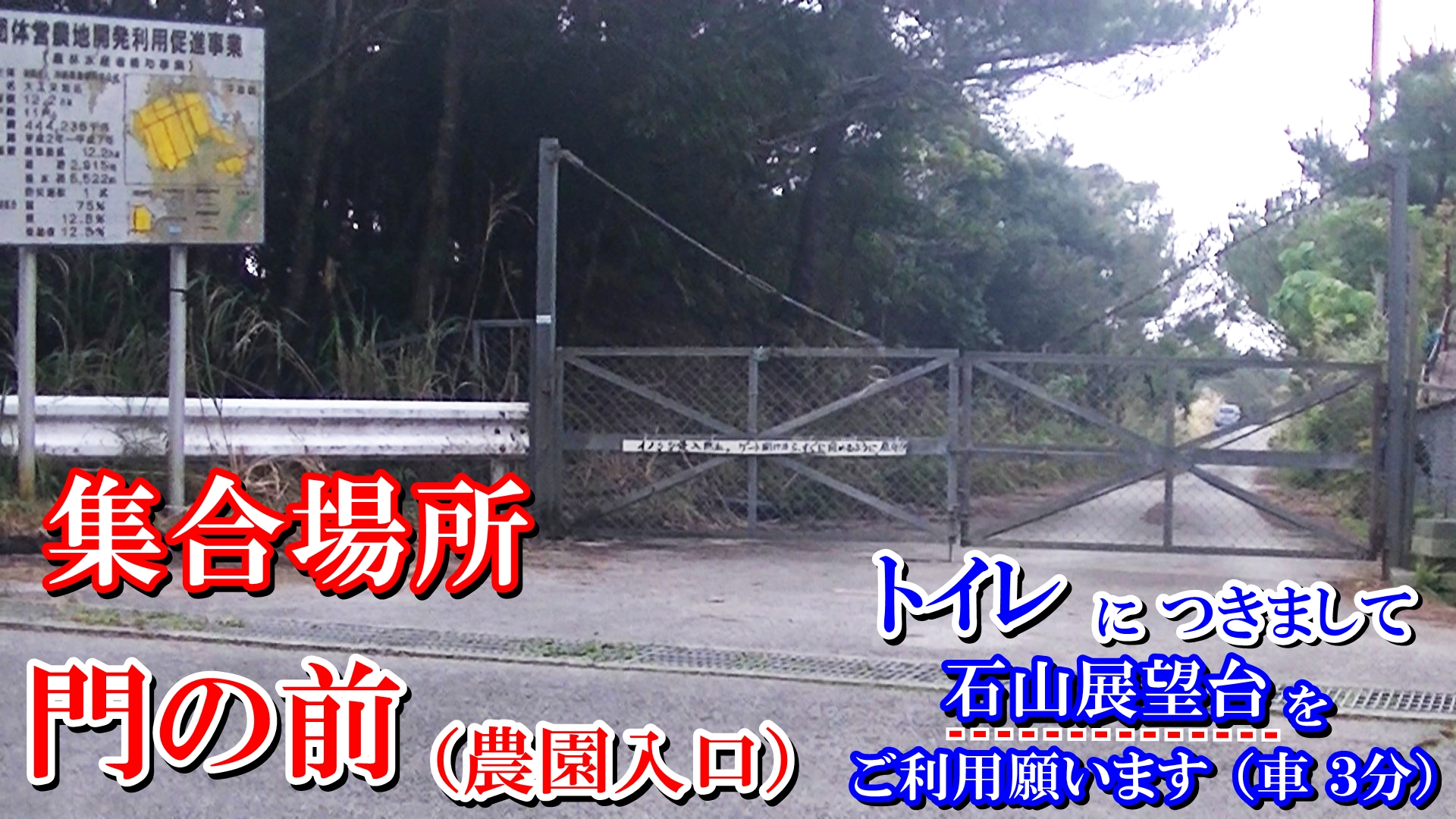 沖縄コーヒー体験